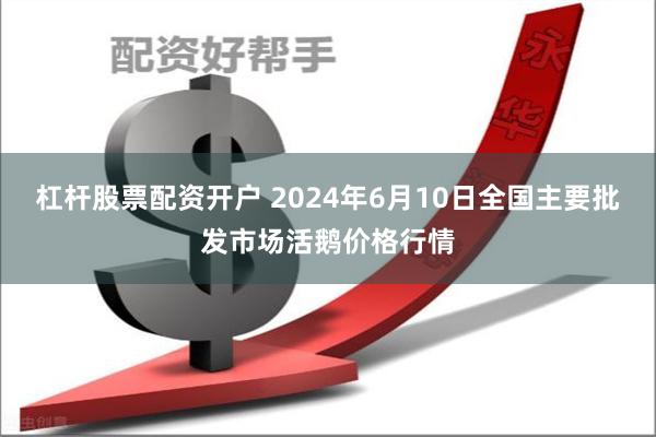 杠杆股票配资开户 2024年6月10日全国主要批发市场活鹅价格行情