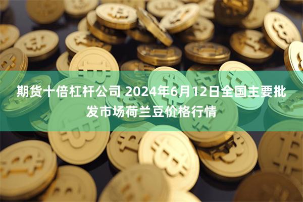 期货十倍杠杆公司 2024年6月12日全国主要批发市场荷兰豆价格行情