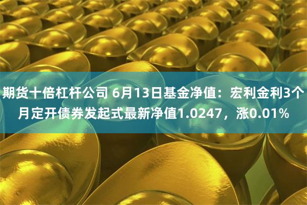 期货十倍杠杆公司 6月13日基金净值：宏利金利3个月定开债券发起式最新净值1.0247，涨0.01%