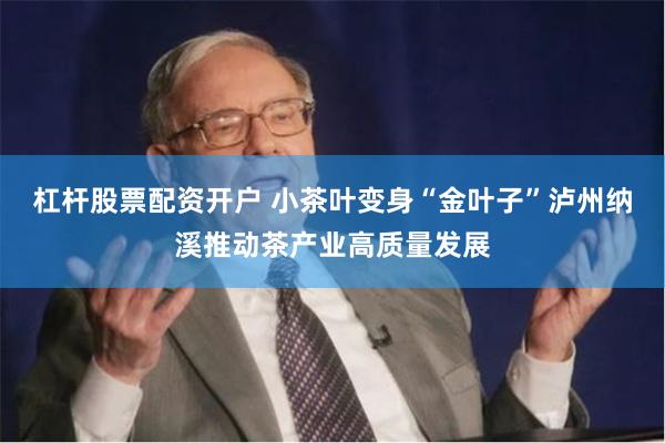 杠杆股票配资开户 小茶叶变身“金叶子”泸州纳溪推动茶产业高质量发展