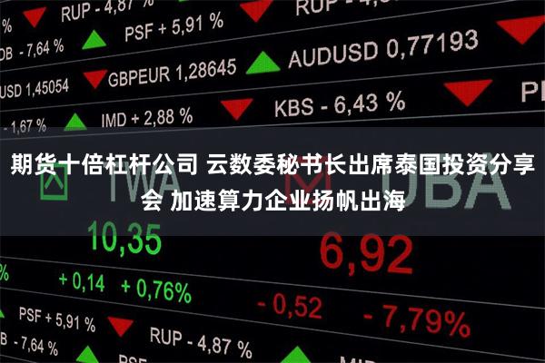 期货十倍杠杆公司 云数委秘书长出席泰国投资分享会 加速算力企业扬帆出海