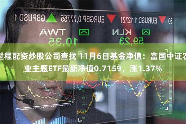 过程配资炒股公司查找 11月6日基金净值：富国中证农业主题ETF最新净值0.7159，涨1.37%
