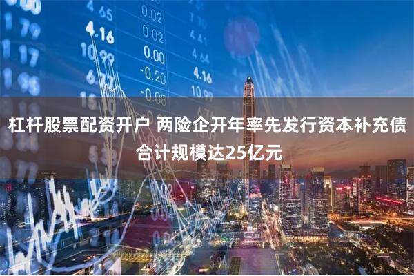 杠杆股票配资开户 两险企开年率先发行资本补充债 合计规模达25亿元